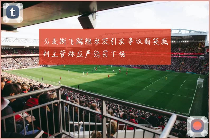 戈麦斯飞踹维尔茨引发争议前英裁判主管称应严惩罚下场