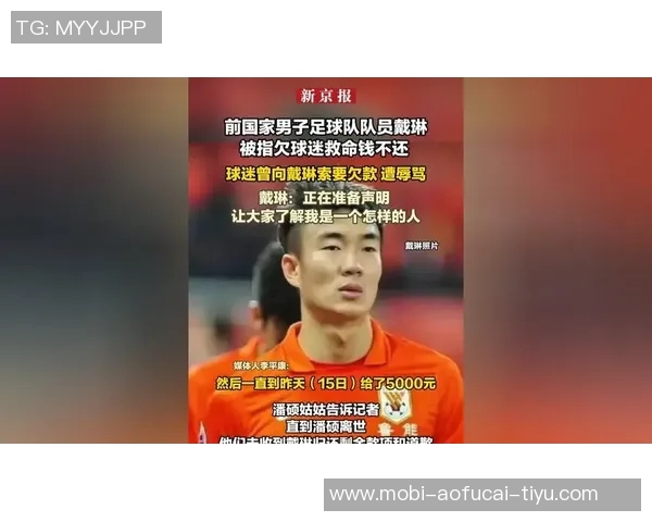戴琳曾承诺还钱给离世球迷妈妈现状引发媒体关注与质疑